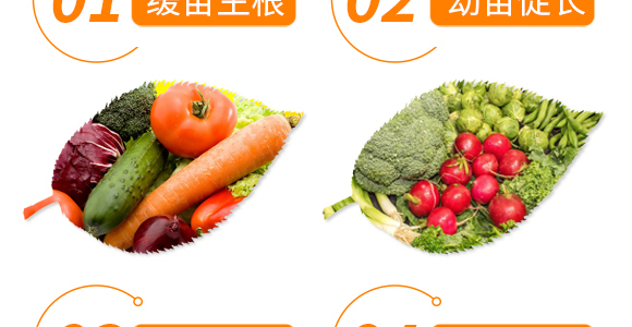 ��(qi��ng)����������-���r(n��ng)����(y��u)ؐ-���r(n��ng)����_06