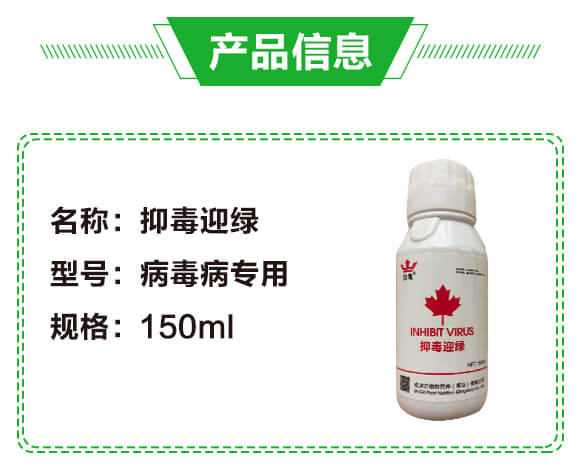 �ֶ�ӭ�G�����β�������-�G��_02