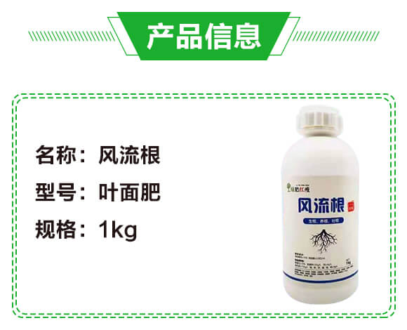 �L(f��ng)�����������B(y��ng)���Ѹ���-�G��_02