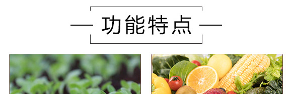 ��������-Ӣ���~��(r��n)_05