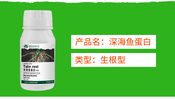 ��������~(y��)����-ؐ���S_02