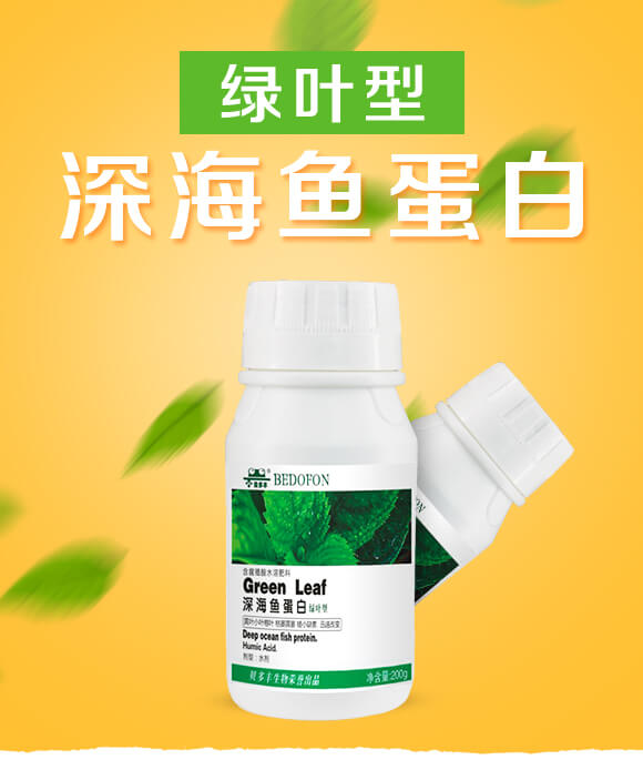 �G�~����~����-ؐ���S_01