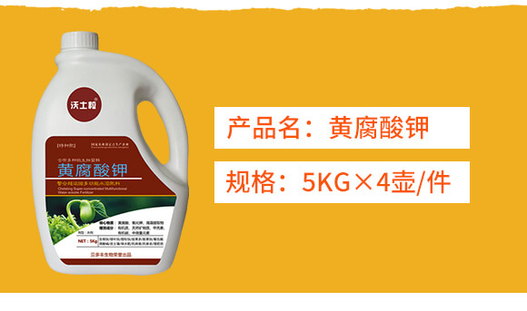 �S�����-ؐ���S_02