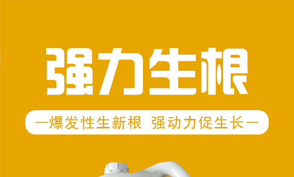 ��������-�r(n��ng)�t(y��)��-�_��ţ_01