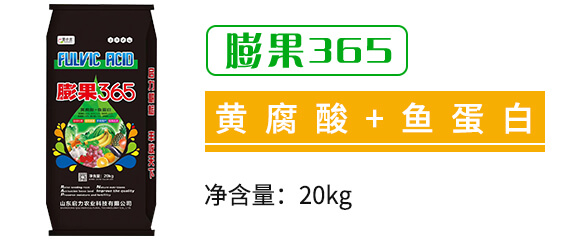 ���365-��С��-�����r�I(y��)_02