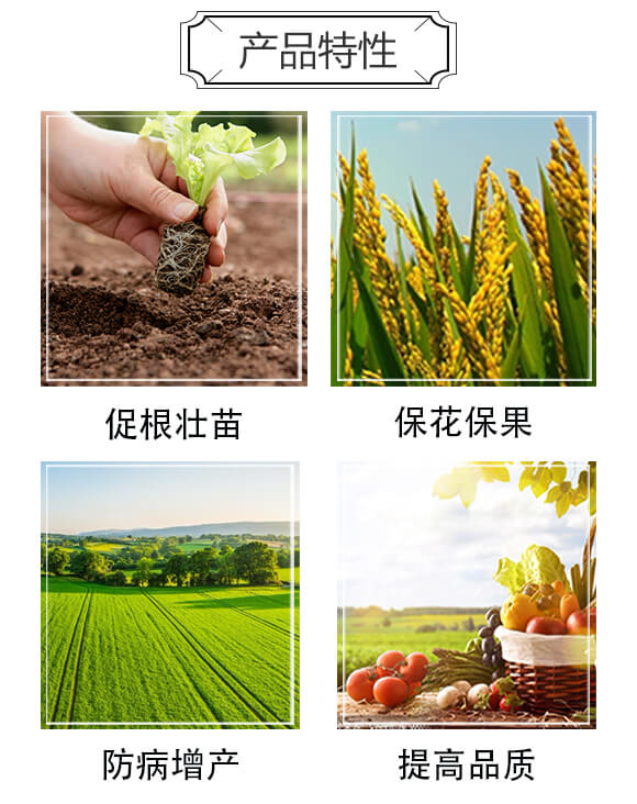 ���365-��С��-�����r�I(y��)_03