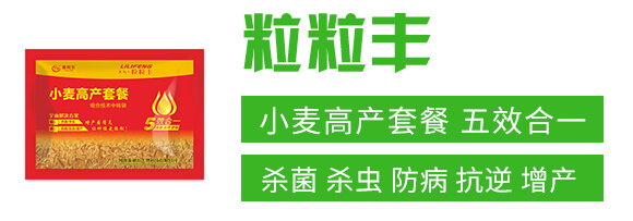 С���߮a(ch��n)�ײͣ���Ч��һ��-�����S-̩����_02