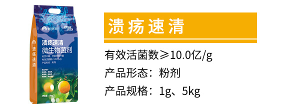 ����ľù���ݲ�ѿ�ߗU��-��������-����S_02