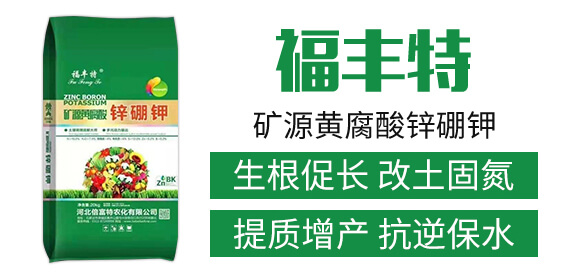 �VԴ�S�����\���-���S��-�������r(n��ng)��_02