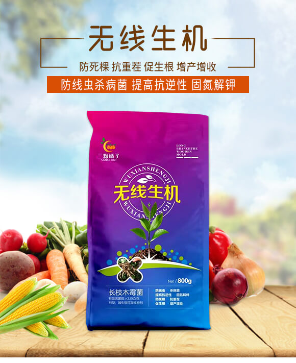 �o(w��)�����C(j��)-���w����_01