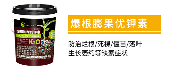 ���}��⛱��������(y��u)���-������(y��u)��_02