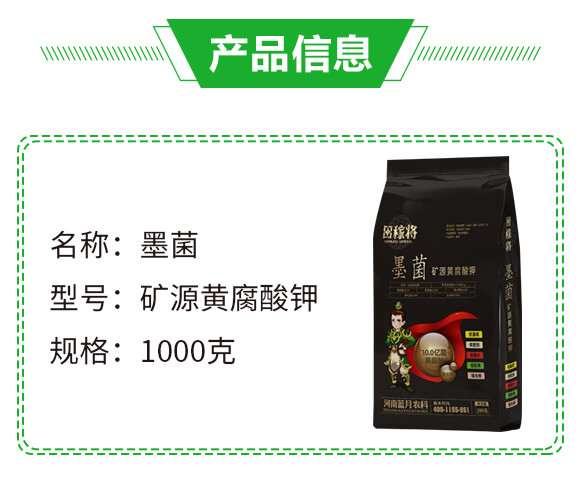 �VԴ�S�����-ī��-��ڌ�-�{(l��n)���r(n��ng)��_02