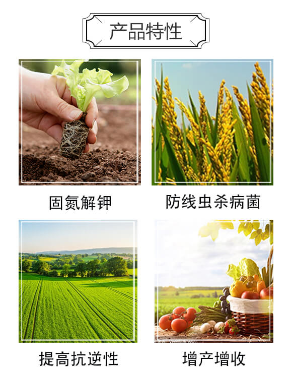 �o(w��)�����C(j��)-���w����_03