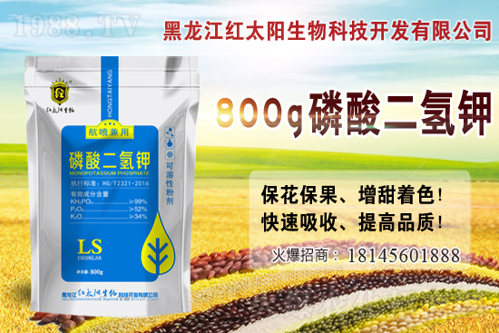 2021年小麥價格多少錢一斤?2月小麥價格會漲嗎?