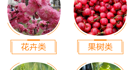 ����Ԫ��ˮ�ܷ���13-7-40+TE-��΢�-��������_10