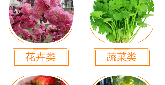 �ϲ�������턩-��̩��_10