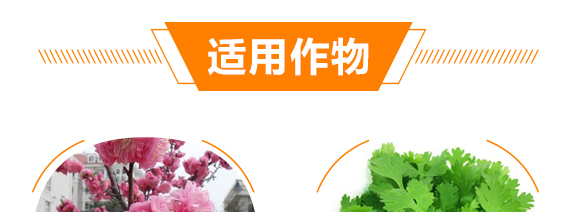 �ϲ�������턩-��̩��_09