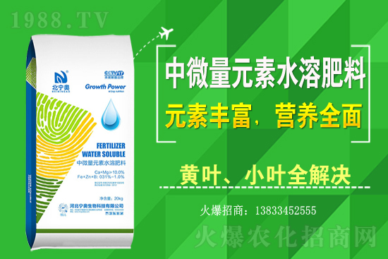 �S����ԓ��ô�Nֲ���S���˷Nֲ�^����ע����Щ���}��