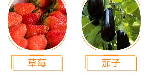 �ϲ�������턩-��̩��_11