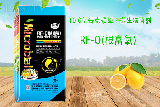 �ͺϷʳ��S��r��10��23�ՏͺϷʃr������