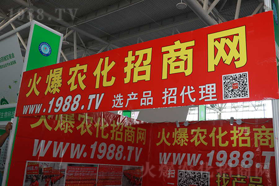 ��s������2021ɽ�|ֲ�������𱬾W(w��ng)��������ʢ�e��