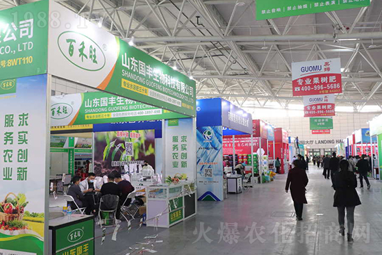 ��s������2021ɽ�|ֲ�������𱬾W(w��ng)��������ʢ�e��