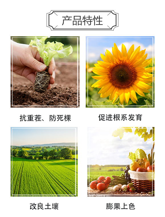 �������ý�-�漚�Ʉx_03