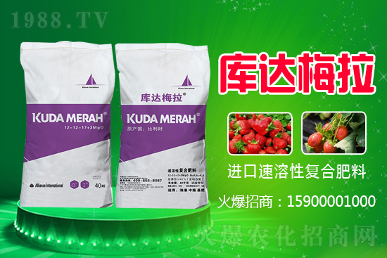 復合肥價格日報，10月28日國內化肥價格