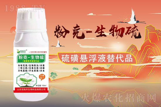 ɽ�|�����S�m(x��)�s1988.TV�����\�����°l(f��)չ