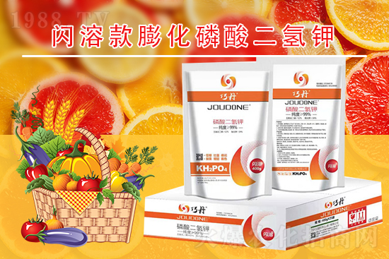 �����P(gu��n)ϵ�����A��ɽ�|�f��ȵ��m(x��)�s1988.TV��