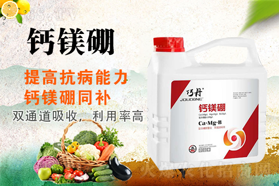 �����P(gu��n)ϵ�����A��ɽ�|�f��ȵ��m(x��)�s1988.TV��