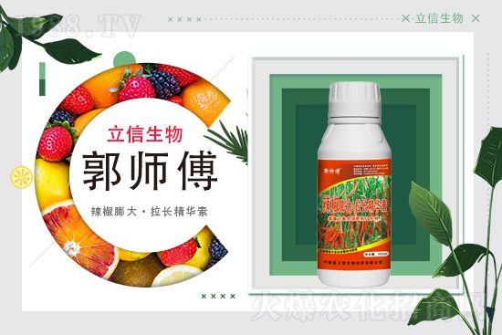 ���������m(x��)�s1988.TV���y�ֹ���(chu��ng)���x�ͣ�