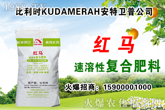 復(fù)合肥出廠報(bào)價(jià),11月12日復(fù)合肥價(jià)格行情