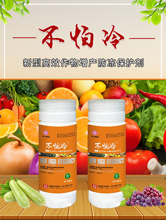 ������-�r��ڈ@_01