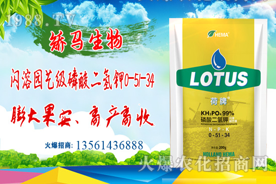 ���ش�q500Ԫ/����11��15�����؃r��