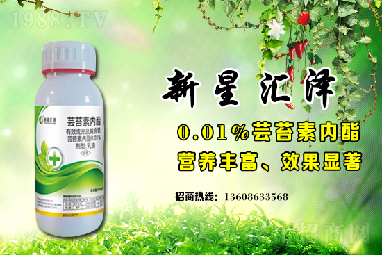 ֲ�������