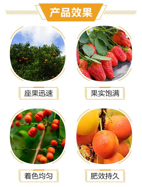 �����ɭ�����＼�g(sh��)���޹�˾_04