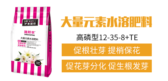 �o�����H3_02