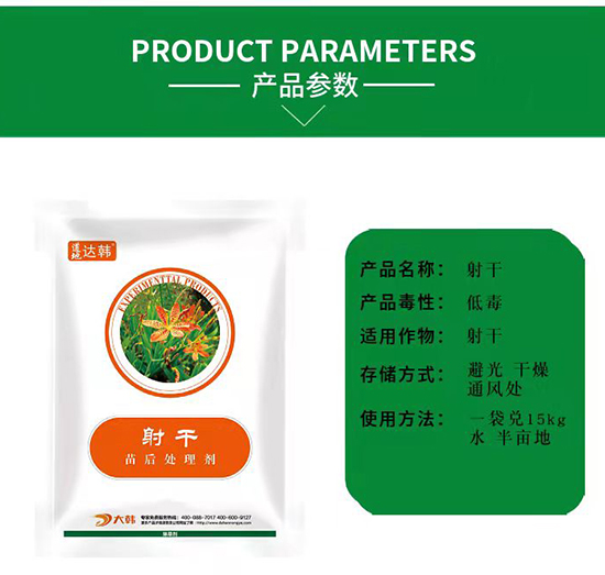 ��ɳ��݄�-��������Ɍ��á����n2