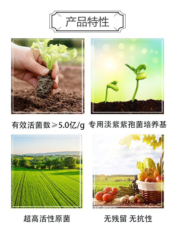 �����f(w��n)�����ﱣ�o(h��)���޹�˾_03