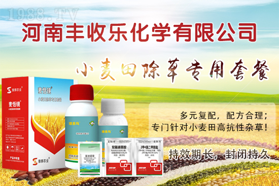 小麥田怎樣除草更?該怎么選用除草劑?
