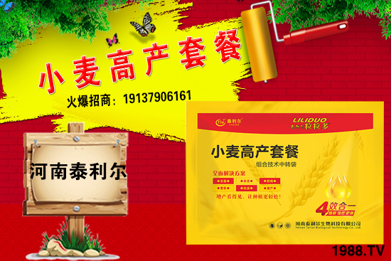 2021��2��С���r�������A(y��)�y���߄ݷ���