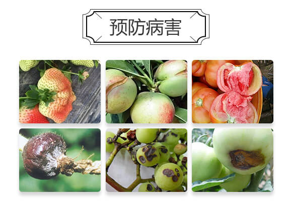 �����}-������-�²��r(n��ng)�I(y��)_03