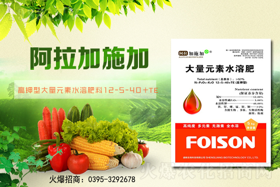 2月6日全國小麥報價！小麥價格突破1.57元/斤