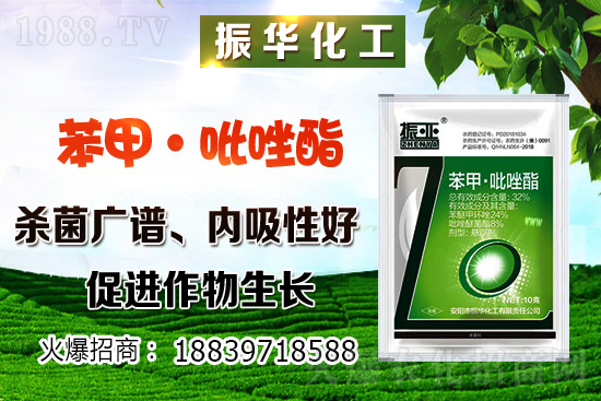 ���ԓ��ô�Nֲ������Nֲ�������h(hu��n)��Ҫ����