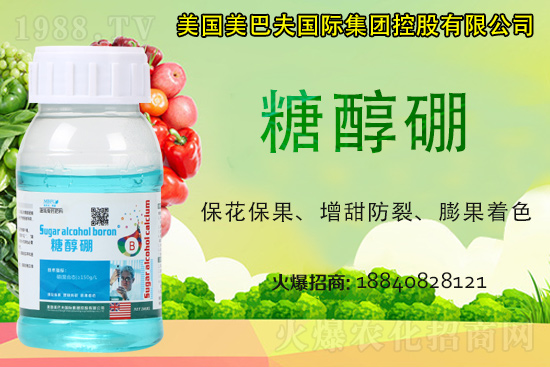 ���յ��ȶ����Xһ�2021�굾�ȃr���Ƿ�߀���q��