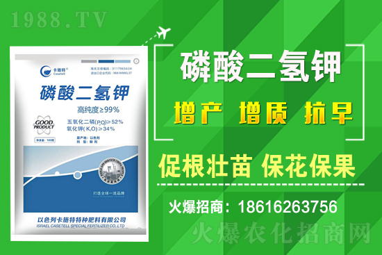 ���˷Nֲ��Ҫע����Щ���}�����˷Nֲԓ��ôʩ����