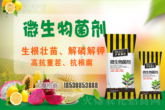 ��ݮ�����F(xi��n)���l���l(f��)������ҪԴ��ʲô������