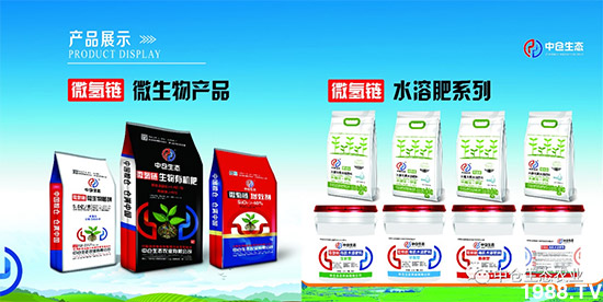 “菜無味、瓜不甜、果不香”是化肥惹的禍?