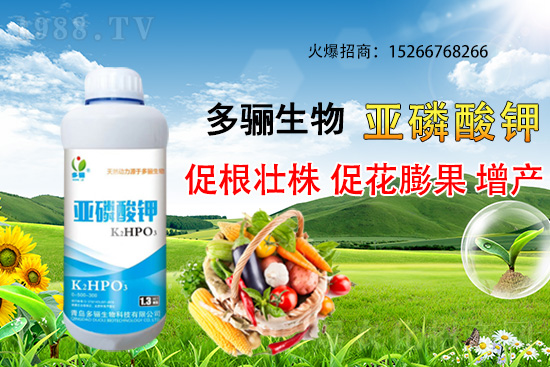 3�·��m�ϷNֲʲôˎ������Щˎ�ķNֲǰ������ٍ�X